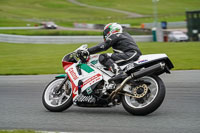 anglesey;brands-hatch;cadwell-park;croft;donington-park;enduro-digital-images;event-digital-images;eventdigitalimages;mallory;no-limits;oulton-park;peter-wileman-photography;racing-digital-images;silverstone;snetterton;trackday-digital-images;trackday-photos;vmcc-banbury-run;welsh-2-day-enduro